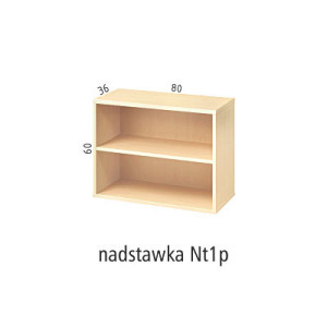 ANTRAX NADSTAWKA Nt1p
