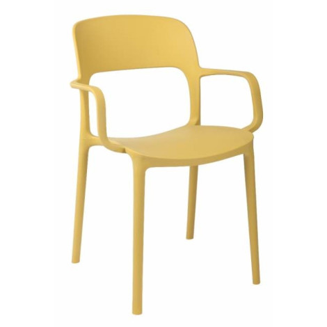 Krzesło z podłokietnikami Flexi